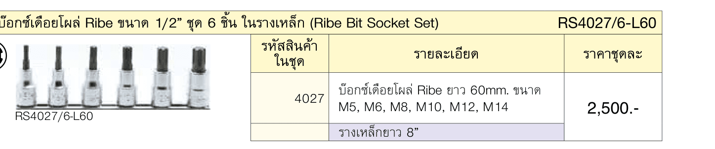 ชุดบ๊อกซ์เดือยโผล่ Ribe ขนาด 1/2” ชุด 6 ชิ้น ในรางเหล็ก (Ribe Bit Socket Set)