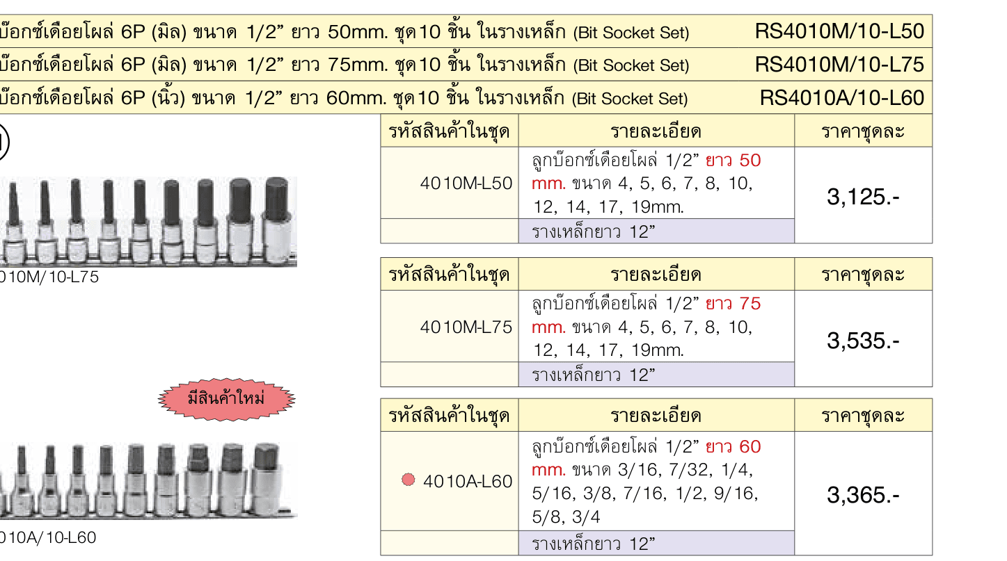 ลูกบ๊อกซ์เดือยโผล่ 6P (มิล) ขนาด 1/2” ยาว 50mm. ชุด10 ชิ้น ในรางเหล็ก (Bit Socket Set)
